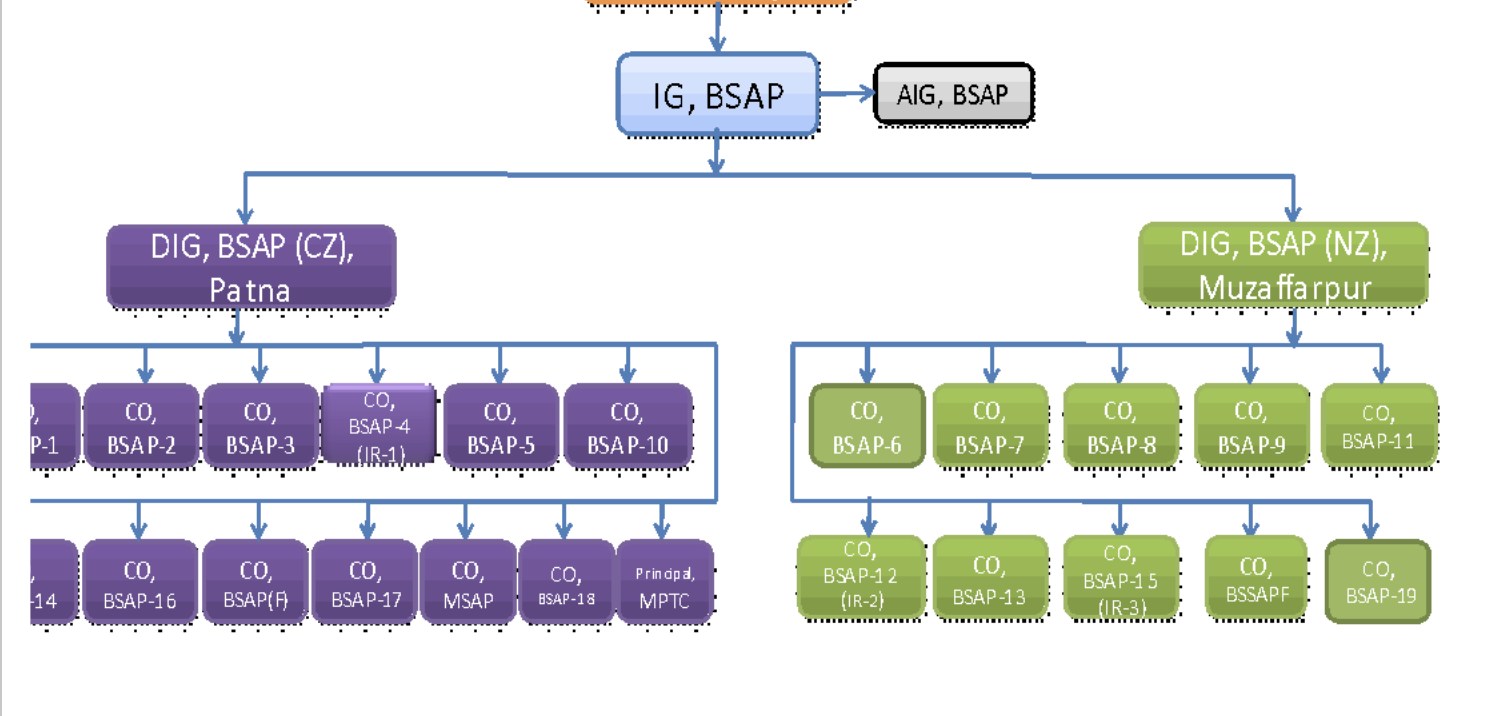 BSAP Organizational Chart
